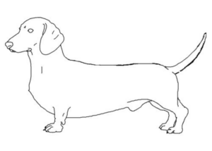 Disegno di cane da stampare e colorare 126