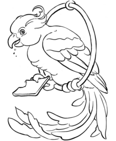Disegno di pappagallo da stampare e colorare 117