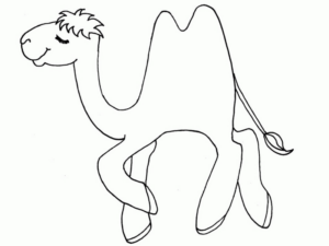 Disegno di cammello da stampare e colorare 6
