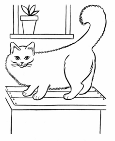 Disegno di gatto da stampare e colorare 119