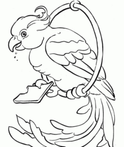 Disegno di pappagallo da stampare e colorare 7