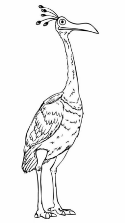 Disegno di uccello da stampare e colorare 67