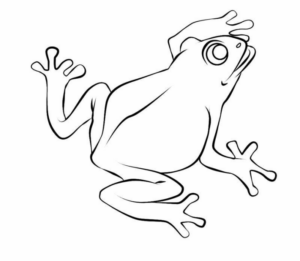 Disegno di rana da stampare e colorare 101