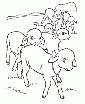 Disegno di pecora da stampare e colorare 31