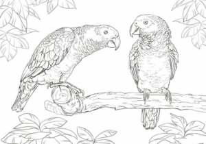Disegno di pappagallo da stampare e colorare 136