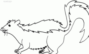 Disegno di puzzola da stampare e colorare 9