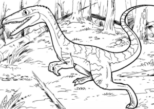 Disegno di Velociraptor da stampare e colorare 4