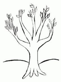 Disegno di albero da stampare e colorare 74