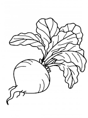 Disegno di rapa da stampare e colorare 6