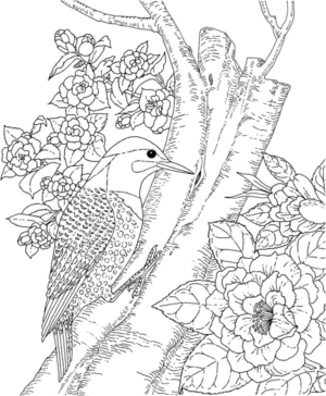 Disegno di uccello da stampare e colorare 101