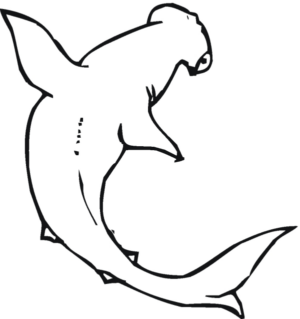 Disegno di squalo da stampare e colorare 40