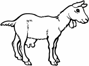 Disegno di capra da stampare e colorare 28