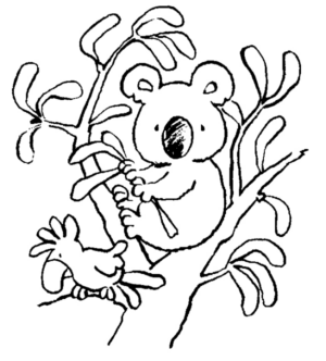 Disegno di koala da stampare e colorare 19