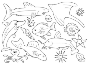 Disegno di pesce da stampare e colorare 322
