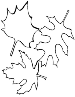 Disegno di foglia da stampare e colorare 63
