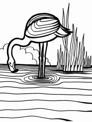 Disegno di fenicottero da stampare e colorare 13