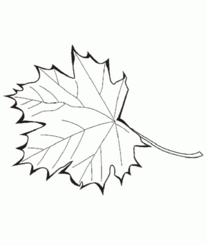 Disegno di foglia da stampare e colorare 77