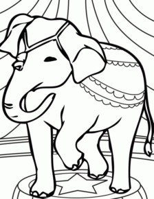 Disegno di elefante da stampare e colorare 114