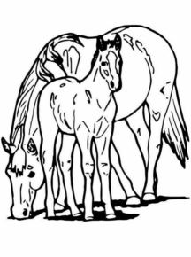 Disegno di cavallo da stampare e colorare 229