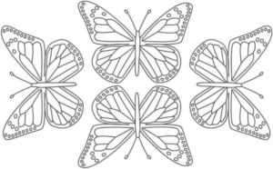 Disegno di farfalla da stampare e colorare 152