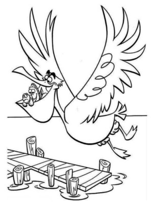 Disegno di pellicano da stampare e colorare