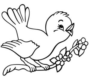 Disegno di passero da stampare e colorare 70