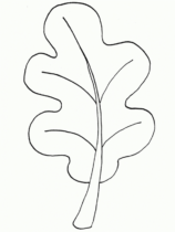 Disegni di Foglie da colorare