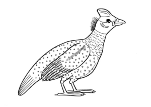 Disegno di uccello da stampare e colorare 4