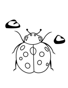 Disegno di coccinella da stampare e colorare 53