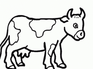 Disegno di mucca da stampare e colorare 52