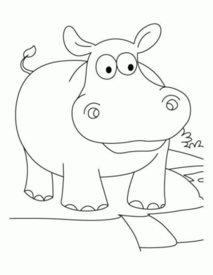 Disegno di ippopotamo da stampare e colorare 46