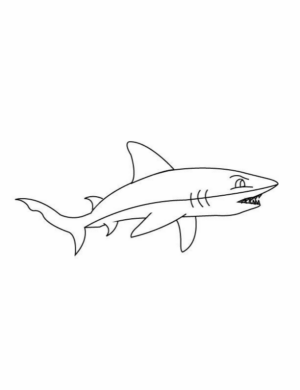 Disegno di squalo da stampare e colorare 65