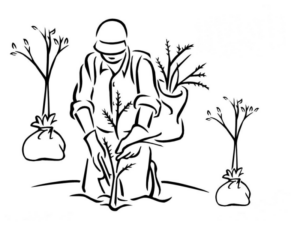 Disegno di giardiniere da stampare e colorare 27