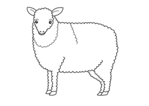 Disegno di pecora da stampare e colorare 55