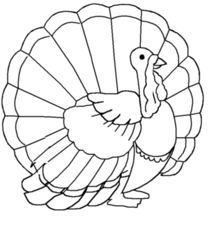 Disegno di tacchino da stampare e colorare 41