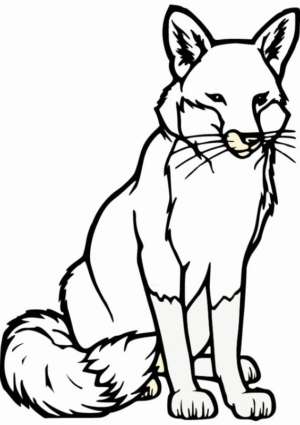Disegno di volpe da stampare e colorare 20