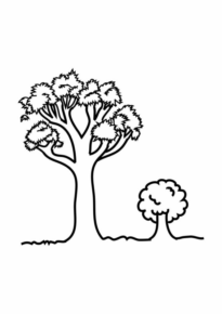 Disegno di albero da stampare e colorare 124