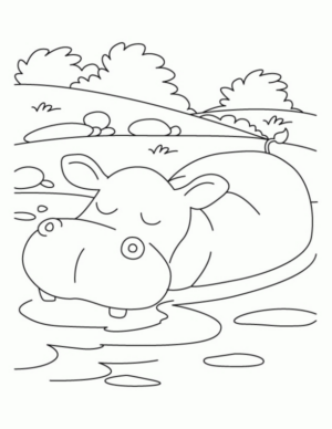 Disegno di ippopotamo da stampare e colorare 11