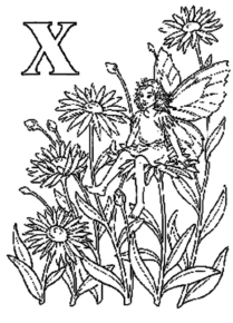 Disegno di fata da stampare e colorare 36