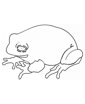 Disegno di rana da stampare e colorare 92