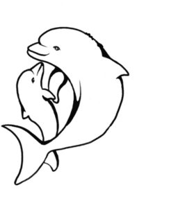 Disegno di delfino da stampare e colorare 72