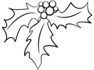 Disegno di pungitopo da stampare e colorare 10