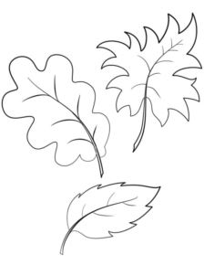 Disegno di foglia da stampare e colorare 165