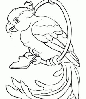 Disegno di pappagallo da stampare e colorare 25