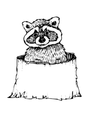 Disegno di procione da stampare e colorare 1