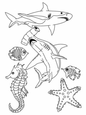 Disegno di squalo da stampare e colorare 13