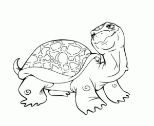Disegno di tartaruga di terra da stampare e colorare 11