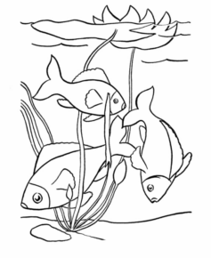 Disegno di pesce da stampare e colorare 30