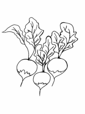 Disegno di rapa da stampare e colorare 9