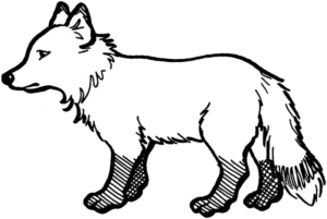 Disegno di volpe da stampare e colorare 17